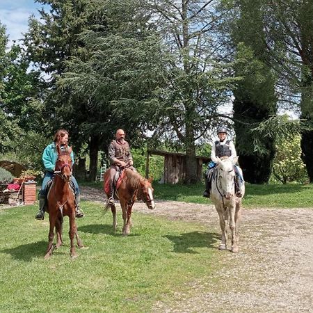 All'Antico Silbule Capolona Esterno foto