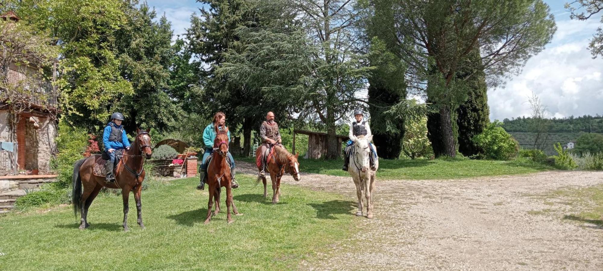 All'Antico Silbule Capolona Esterno foto